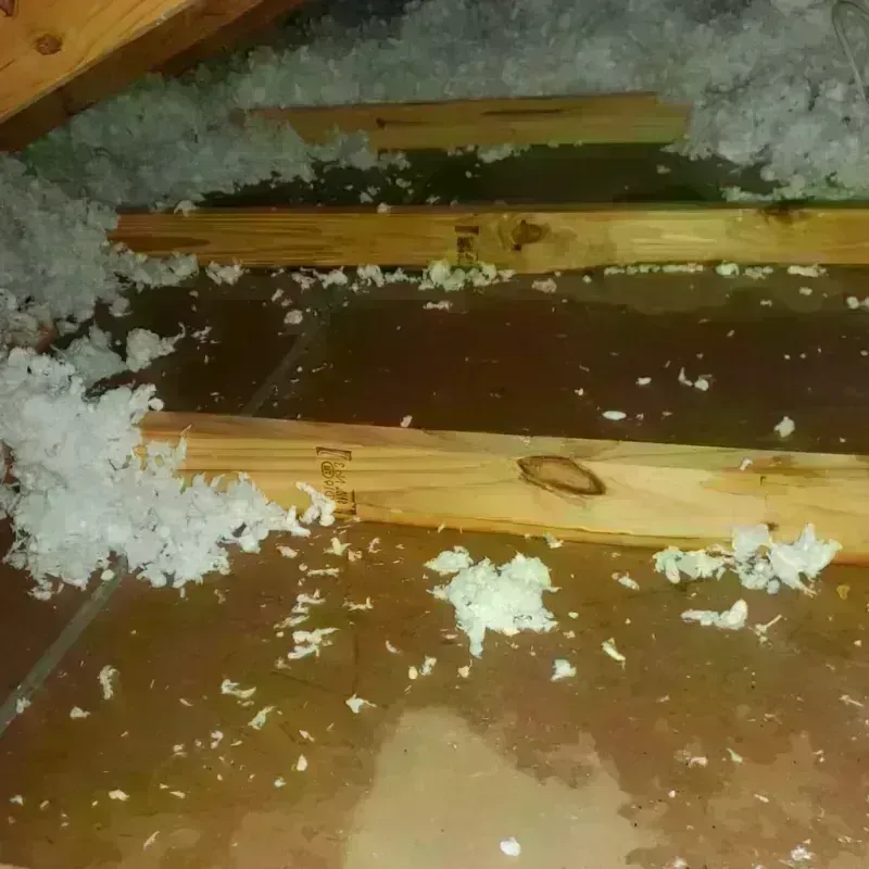 Attic Water Damage in Yuma, CO