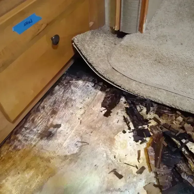 Wood Floor Water Damage in Yuma, CO